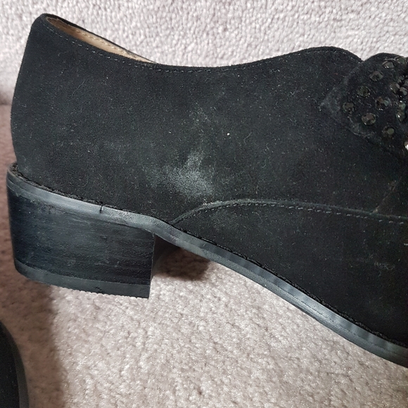 Shellys London Black Suede Bow Shoes - Picture 8 of 9